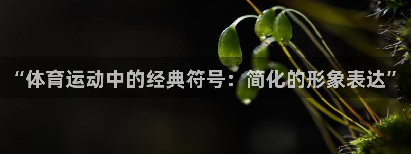 米兰体育平台