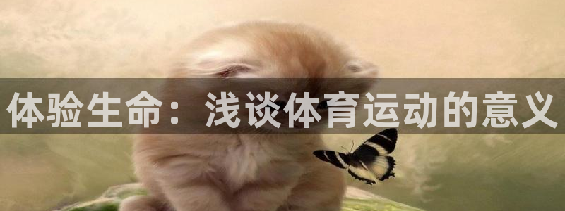 米兰体育.：体验生命：浅谈体育运动的意义