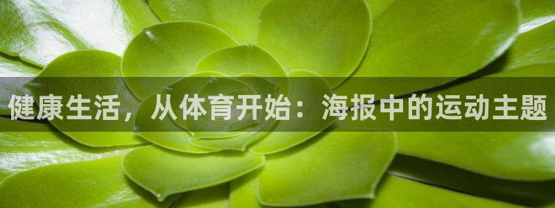 米兰体育入口：健康生活，从体育开始：海报中的运动主题