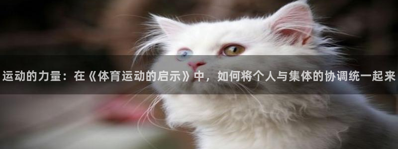 米兰体育平台